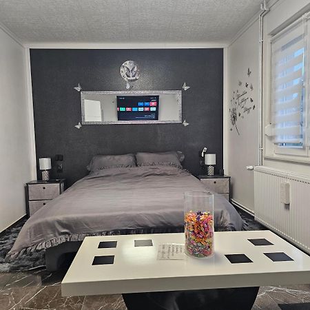 Apartmán Ena1 & Ena2 -Big Free Parking Karlovac Exteriér fotografie